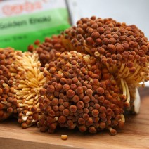 국내산 친환경 황금팽이버섯 갈색팽이버섯 200g내외, 1box, 03_황금팽이버섯 200g 5봉