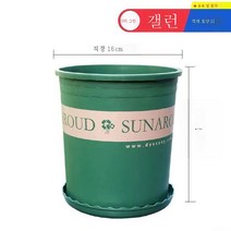 ZZJJC 화분 대전다육플라스틱 특대호 월계다육분재 화분수지갤런 화분, 하이 1갤런 [구경 16cm] 2개담는다., 화분 받침대 없음(비료 보내기)