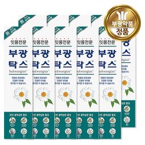 잇몸전문 부광탁스 치약 120g x 10개, 단품