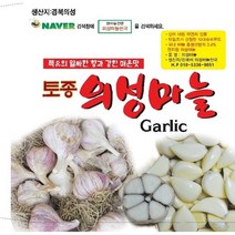 2023년 의성에서 직접재배한 의성마늘 통마늘 한지형 저장마늘+ 10 톨 덤으로 드립니다., 1개, 씨마늘종자 중2.5키로 약 80-100개