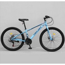 ( MTB 산악자전거 ) 26인치 입문용 크로스컨트리 자전거 21/24단, 21단, 스포크 휠 - 블루