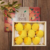 고흥군친환경한라봉영농조합법인 고흥 한라봉 3kg (9-10과) 선물세트 GAP 인증