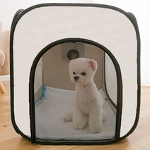 강아지 하우스 고양이 집 펫 털 말리기 건조 드라이기 드라이 룸, XL
