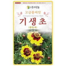 설악초 20립 - 초설초 야광초 야생화 씨앗 꽃씨 씨 꽃씨앗 야생화씨앗 고급꽃씨 고급꽃씨앗, 02_다농_기생초(황홍색)(200립)
