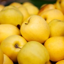 [딜맛] 골드 황금사과 일반용(망포장) 중과 2kg(7~10과), 단품