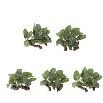 SJSHOP 탱크를 위한 5 조각 인공적인 수지 물 잔디 공장, 9x6x8cm, 녹색