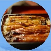 [당일 배송]남해 자연산 힘찬 (반건조)장어 1.1~1.3kg, 1kg, 1개