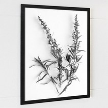 대형액자 식물액자 FA203 타라곤 향신료 그레이모드 세로 포토프레임 북유럽 스타일.시즈팝, WM01|A4사이즈