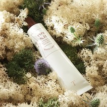 타입넘버 핸드크림 65ml, 11 윈드스테이