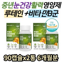 중년 눈 활력 에너지 루테인 비타민B컴플렉스 영양제 메리골드꽃 추출물 아연 미네랄 눈에좋은 눈이침침할때 눈침침 눈이물감 수험생 노인 직장인 건강 추천 뉴테인 효능 효과 LUTEIN