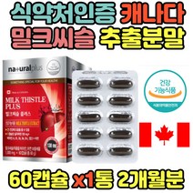 밀크 씨슬 엽산 아연 시슬 실리마린 간 영양제 보조제 추천 개선제 에너지 간기능 30대 40대 50대 60대 무기력 남성 성인 간건강식품