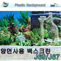 암벽 백스크린 30cm, 1개