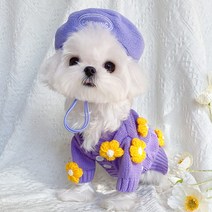 애견옷 퍼플 니트 가디건 입체 플라워 스웨터 중소형 강아지 고양이 가을 겨울옷