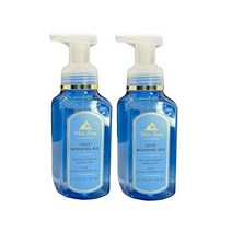 Bath & Body Works 배스 앤 바디 웍스 2팩 크리스프 모닝 에어 젠틀 포밍 핸드 비누. 8온스 462087