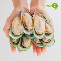 고고새우 뉴질랜드 초록입홍합 800g 자숙 냉동, 초록입홍합 특대 800g