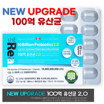(4개월분)업그레이드 프리 프로바이오틱스100억 유산균 2.0 120캡슐 장건강 더리얼, 60정, 2개