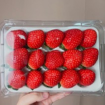 고당도 달콤한 제철 딸기 500g 1kg 생딸기 설향 죽향 딸기쥬스 아맛, 설향딸기 500g