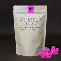 슬로시 패랭이 꽃 씨앗 키우기 그림봉투화분