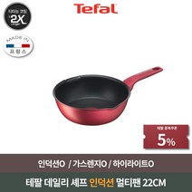 테팔 데일리셰프 인덕션 멀티팬, 22cm, 1개