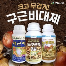 구근비대제 뿌리커 대근이 구근빅 크고 무겁게 비대제 인기제품, 대근이 500ml, 500ml