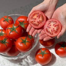 당뇨에좋은과일 못난이토마토 주스용토마토 당뇨에좋은과일 국산 3kg 5kg, 쥬스용 완숙 찰토마토 5kg
