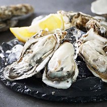 통영 당일채취 석화(각굴), 생굴1kg