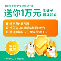 펫 고양 반려견 애견 냥이 이 스틱 신기 나무 쥐 방울 깃털 싸움, 53 컬렉션추가구매연락고객서비스배송1w반려동물