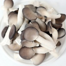 Bs2 행복푸드상자 국내산 생느타리버섯 2kg 산지 발송, 아이스박스 포장, 본상품선택