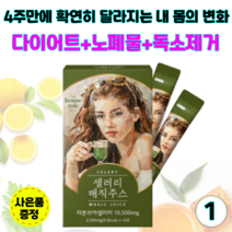샐러리매직주스 디톡스 클렌즈주스 몸속노폐물 독소제거 해독주스 체중 피부 건강 관리 단기 다이어트-사은품증정, 1개(2.5gx14포)