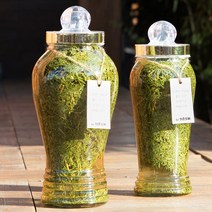 허준오빠 야관문주 담금주키트 만들기 + 복분자, 1.8L