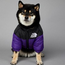 2023 SUPREPET패딩 개 겨울 옷 따뜻한 방풍 솔리드 코트 코튼 디자이너 대형 강아지 액세서리, 보라색+5XL