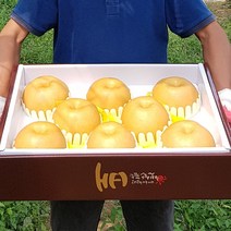 명품 나주 신고배 선물세트 5kg 6~7과