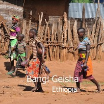 [위트러스트] 에티오피아 방기 게이샤 200g Ethiopia Geisha, 에스프레소