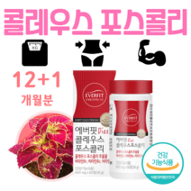 체지방 감소 다이어트 콜레우스 포스콜리 하루 2알 건강 기능 식품 건강식품 식약처 인증 운동 병행 헬스 다이어트 홈쇼핑 프리미엄 영양제 성분 가격 효능 비교, 12+1개월치, 600mg x 60정 (하루2정)