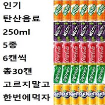 [한번에먹자] 탄산음료세트 250ml 5종 6캔씩 코카콜라업소 + 칠성사이다업소 + 웰치스포도 + 환타파인애플 + 써니텐오렌지 총30캔 캔음료수 모음, 혼합 x 30캔