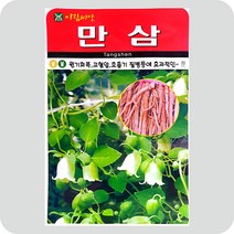 만삼씨앗 1000립 민속채소 약초 씨앗