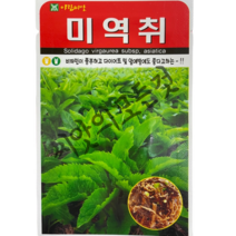 미역취씨앗 아람종묘 비타민이풍부하고 다이어트및 암예방에도 좋은 미역취종자