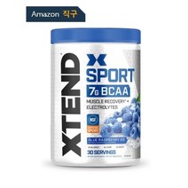 사이베이션 엑스텐드 BCAA 파우더 블루 라즈베리 아이스 30회분 운동 헬스 부스터 보조제 에너지 보충제 아미노산