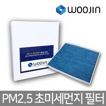우진필터 PM2.5 초미세먼지 포드 에어컨필터 2SET, YCF04, 2개