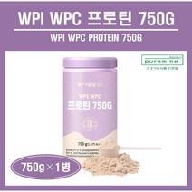 WPI WPC WPH 단백질 보충제 쉐이크 웨이 프로틴 가수분해 분리 농축 유청단백질 분말 가루 프로틴 파우더 BCAA 류신 미숫가루맛 식사대용 해썹인증 HACCP 추천, 1병, ##푸름이네##WPI WPC 프로틴 (750g)