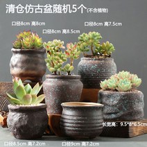 망포트 이색포트 달항아리화분 슬릿분 도자기 플라스틱화분 데로마 인테리어화분 빈티지 395ea2, 검푸른색 창고 정리 앤티크 화분 5개 동봉