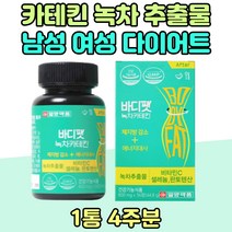 카테킨 다이어트 녹차 추출물 남성 여성 체지방 내장지방 감소 노년기 시니어 비타민C 1주 2주 판토텐산 해조 칼슘윗배 똥배 빼는법 아내 중년 1일1식 DIET CATECHIN 20대 30대 결혼 웨딩 예신