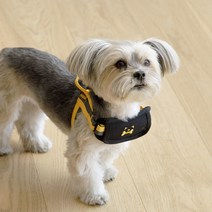 강아지하네스 넥쿠션 가슴줄 보호대, 블랙 VWCL00101