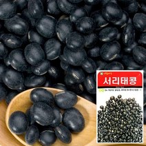 서리태콩 씨앗 (30g) 채소씨앗 야채씨앗 완두콩씨앗, 기본 5130