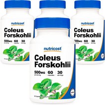 뉴트리코스트 콜레우스 포스콜리 500mg 캡슐, 60개입, 4개, 60정