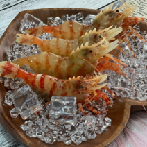 [어선 단독 직거래] 독도 닭새우 300g 500g, 1개