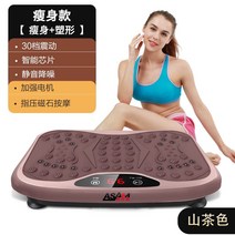 파워플레이트운동 덜덜이 음파운동기 전신 운동기구 슬리밍 동요 게으른 가정용 운동기구 및, 플래그십 셰이핑 30 단 진동  자석 지압 마사지