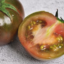[푸르젠] 산지직송 보성 달콤한 흑토마토 2kg