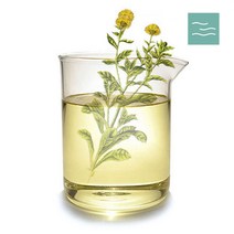 마타바 카렌듈라 diy 인퓨즈 오일 50ml