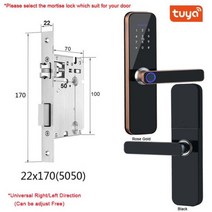 Tuya 와이파이 전자 스마트 도어락 생체 인식 지문스마트 카드비밀번호키 잠금 해제USB 비상 충전, 해외배송, 147x22(5050)_로즈 골드